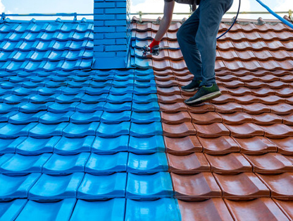 Roof Painting